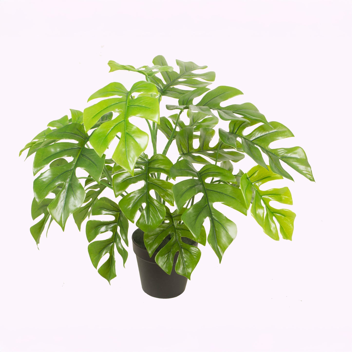 Urbanstyle Faux Real Rhaphidophora Plant – Natural Style, Zero Effort
