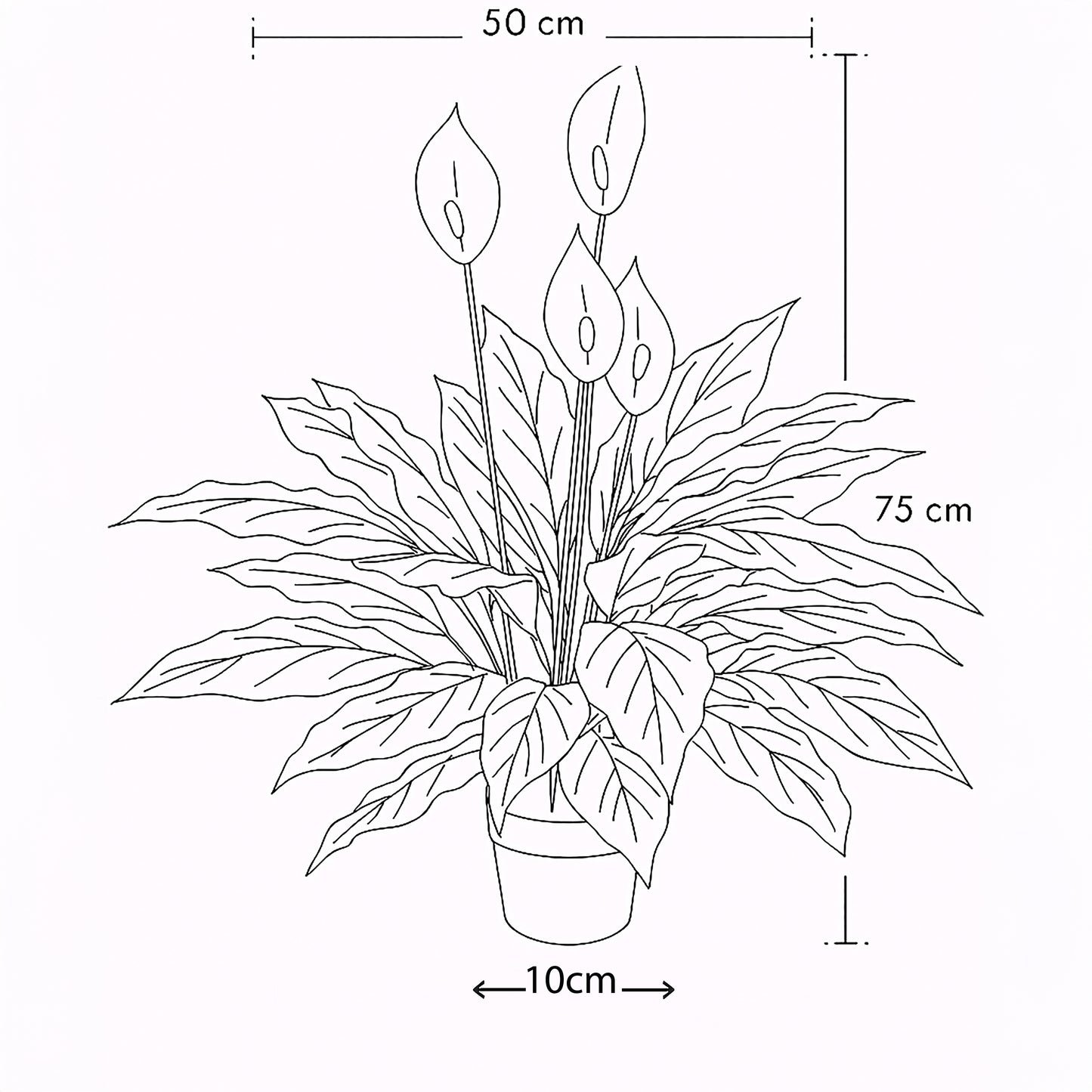 Urban Style Faux Real Spathephyllum Flower – Botanical Elegance Without the Fuss