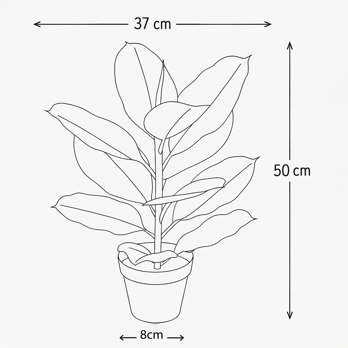Urban Style Faux Real Ficus Elastica – Effortless Green Elegance