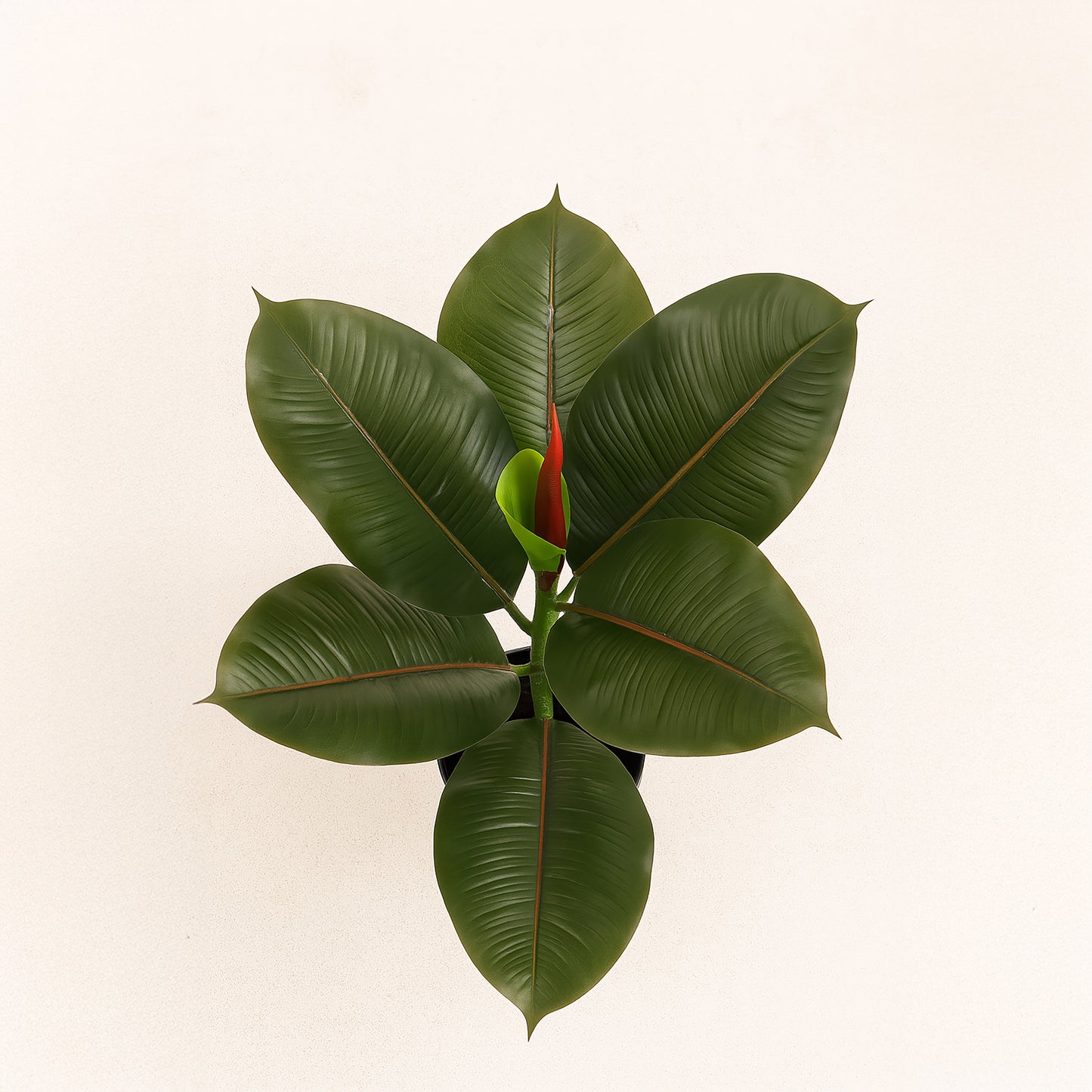 Urban Style Faux Real Ficus Elastica – Effortless Green Elegance