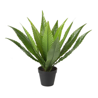 Urban Style Faux Real Birds Nest Fern – Real Touch Indoor Plant