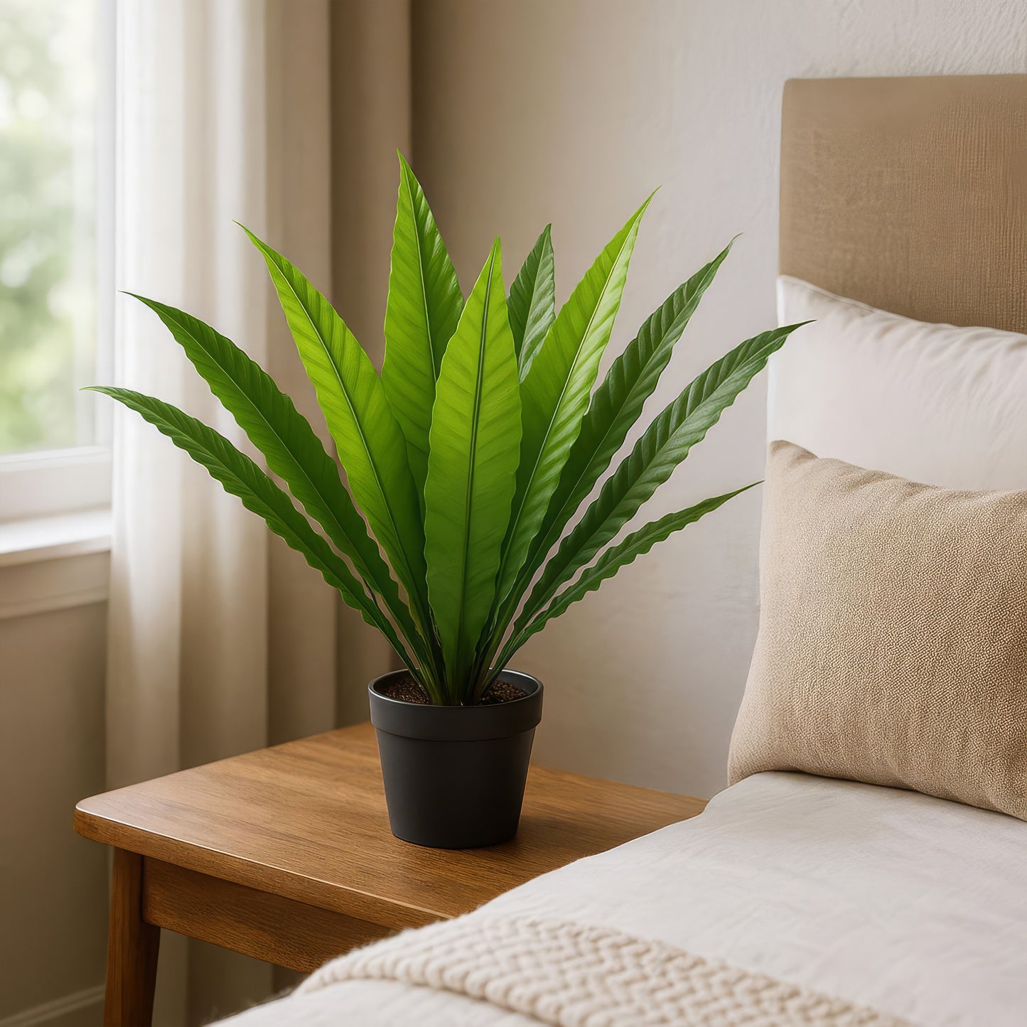 Urban Style Faux Real Birds Nest Fern – Real Touch Indoor Plant
