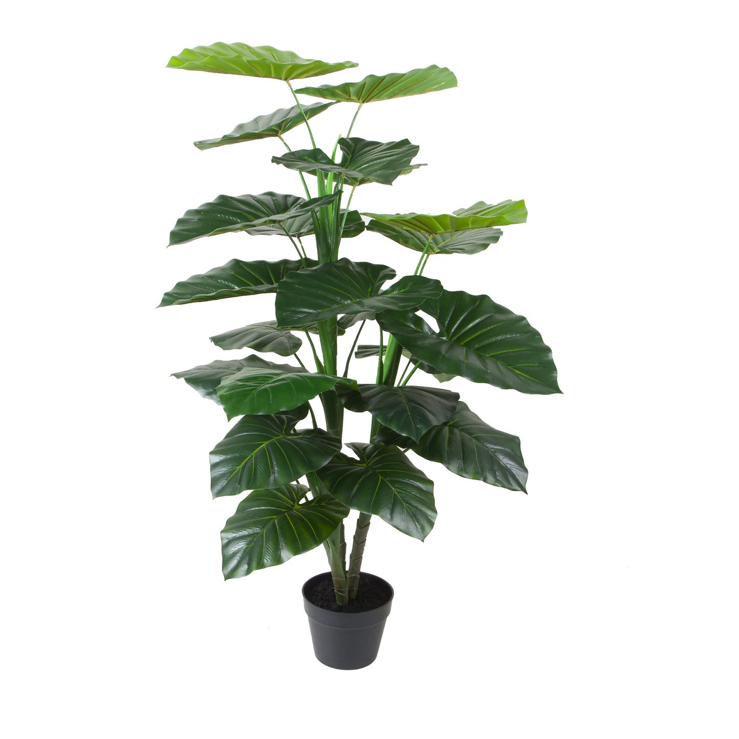 Urban Style Faux Real Taro Plant – Statement Indoor Greenery