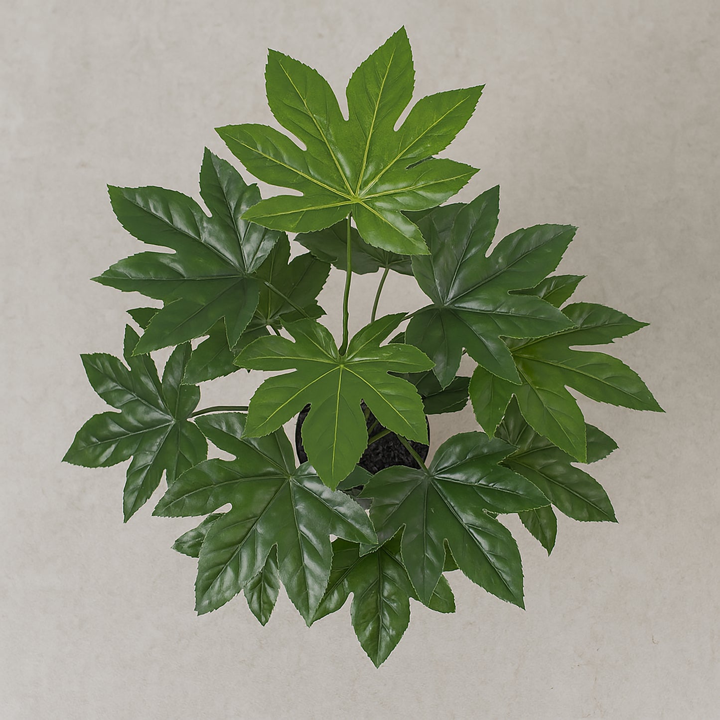 Urban Style Faux Real Fatsia Japonica Plant – Compact Tropical Leaf Display