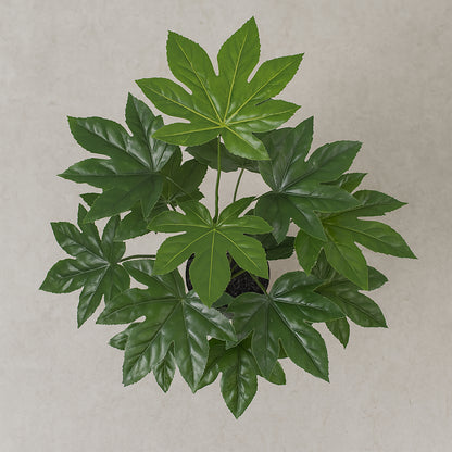 Urban Style Faux Real Fatsia Japonica Plant – Compact Tropical Leaf Display