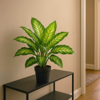 Urban Style Faux Real Dieffenbachia Plant – Lush Green Style Without the Fuss