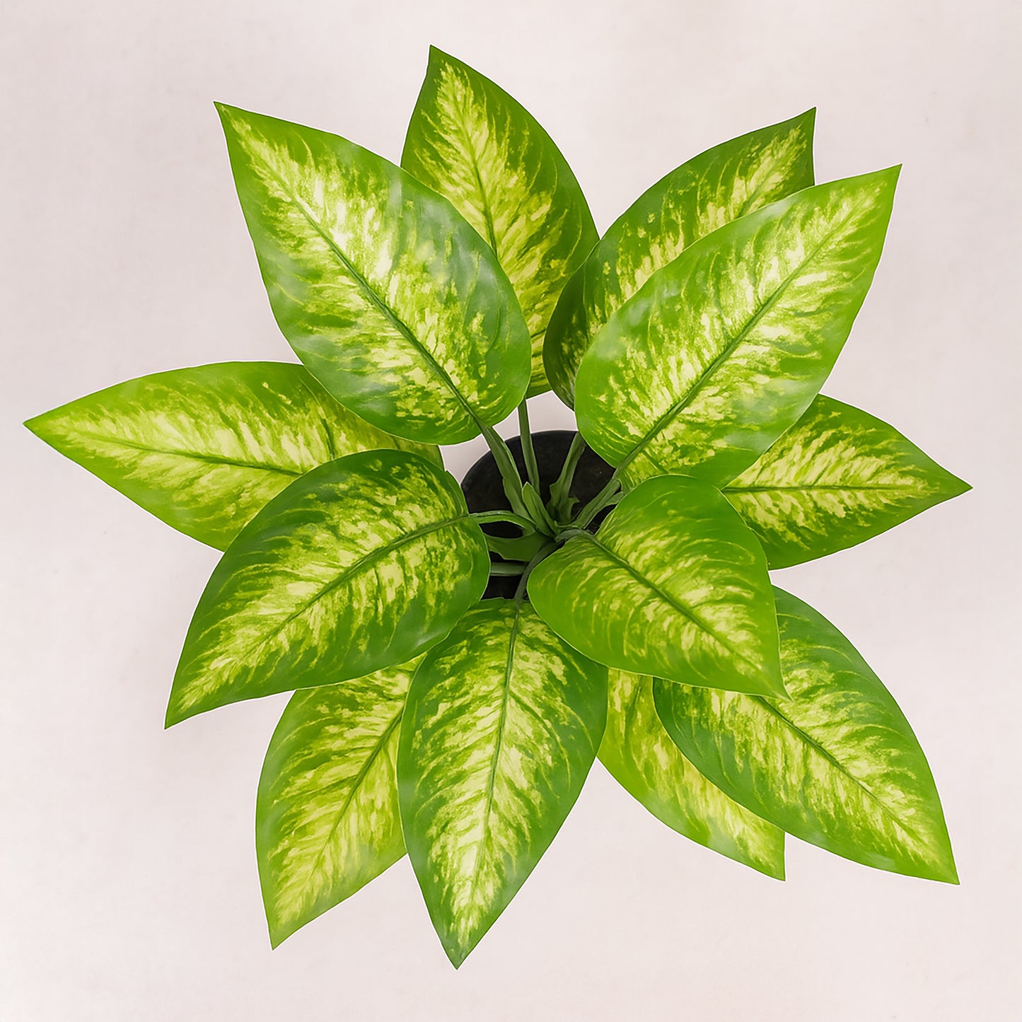 Urban Style Faux Real Dieffenbachia Plant – Lush Green Style Without the Fuss