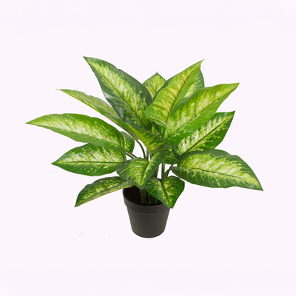 Urban Style Faux Real Dieffenbachia Plant – Lush Green Style Without the Fuss
