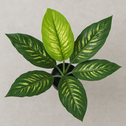 Urban Style Faux Real Dieffenbachia Plant – Effortless Tropical Elegance