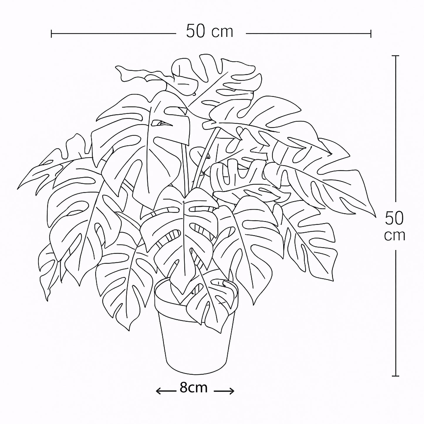 Urbanstyle Faux Real Rhaphidophora Plant – Natural Style, Zero Effort