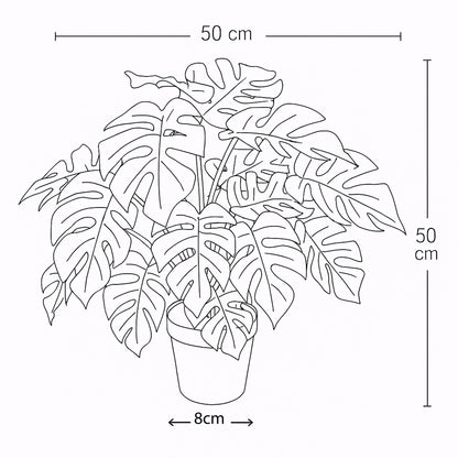 Urbanstyle Faux Real Rhaphidophora Plant – Natural Style, Zero Effort