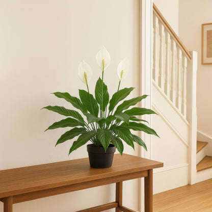 Urban Style Faux Real Spathephyllum Flower – Botanical Elegance Without the Fuss