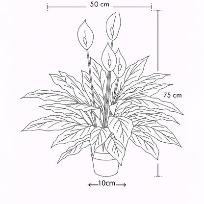 Urban Style Faux Real Spathephyllum Flower – Botanical Elegance Without the Fuss