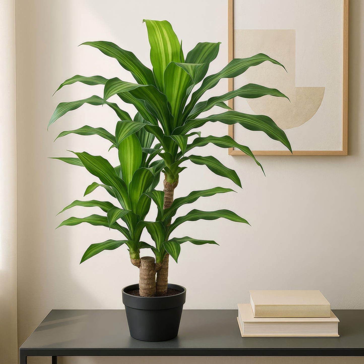 Urban Style Faux Real Dracaena Fragrans – Low-Maintenance Tropical Style