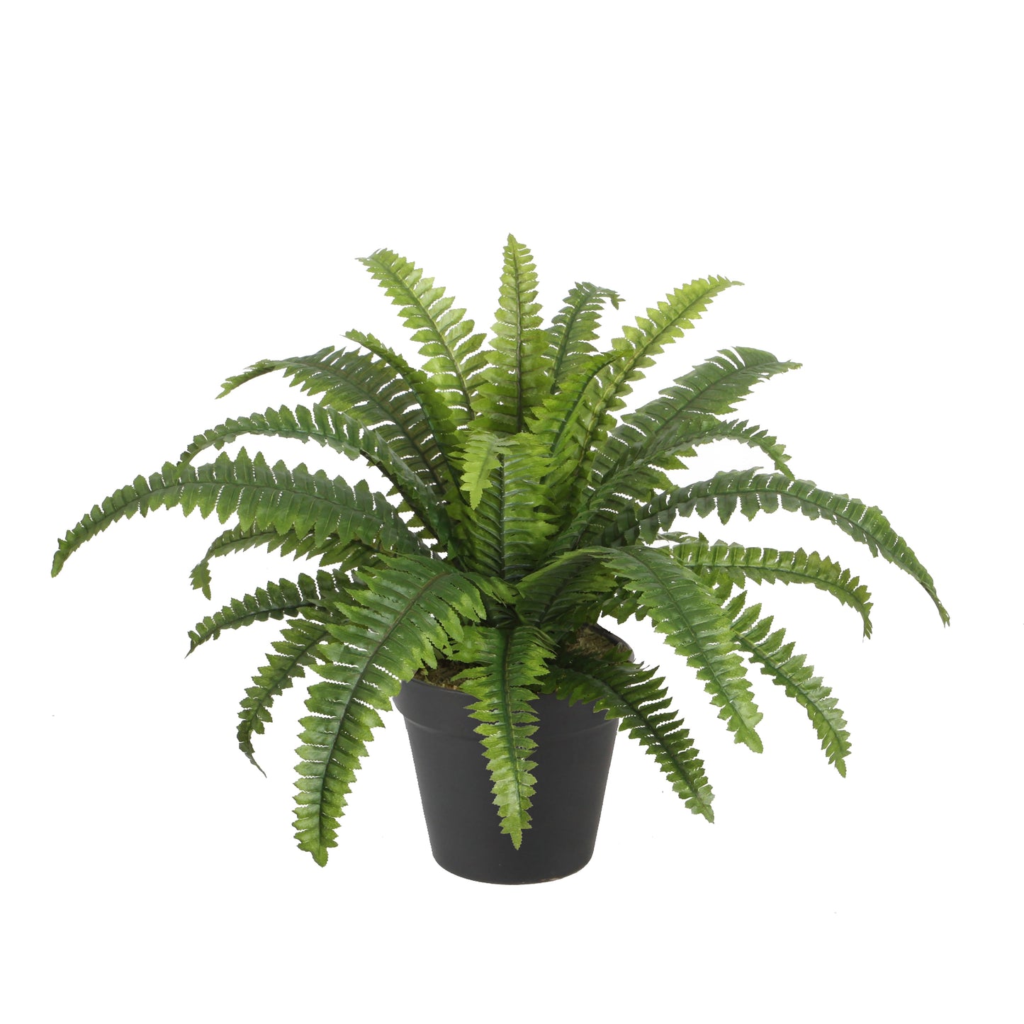 Urban Style Faux Real Boston Fern – Lush Greenery Without the Fuss