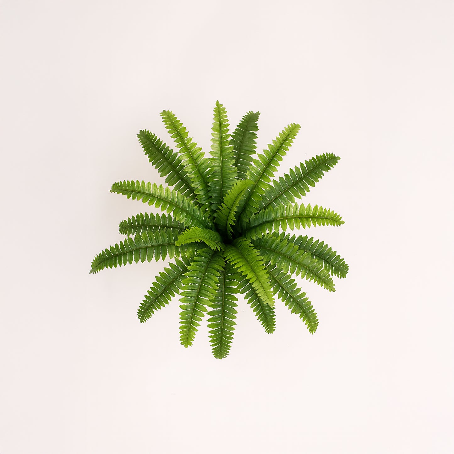 Urban Style Faux Real Boston Fern – Lush Greenery Without the Fuss