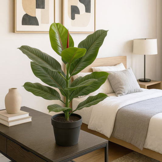 Urban Style Faux Real Ficus Elastica – Effortless Green Elegance