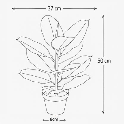 Urban Style Faux Real Ficus Elastica – Effortless Green Elegance