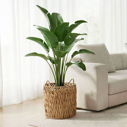 Alyssa Woven Basket Set of Four